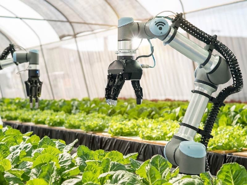 Robot tưới cây, minh họa mô hình nông nghiệp thông minh và dữ liệu số phục vụ sản xuất. (Ảnh minh họa)