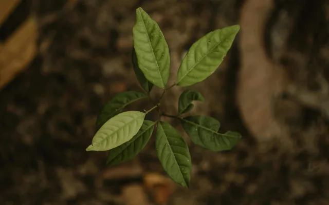 Kỹ thuật Môi trường 